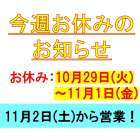 業務日誌（10/29-11/1お休みします）