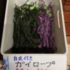 ざっくり在庫状況（5月2週目）